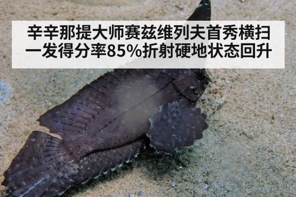 辛辛那提大师赛兹维列夫首秀横扫 一发得分率85%折射硬地状态回升